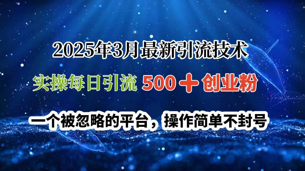 2025年3月最新引流技术,实操每日引流500➕创业粉,一个被忽略的平台,操作简单不封号搞钱项目网-网创项目资源站-副业项目-创业项目-搞钱项目搞钱项目网