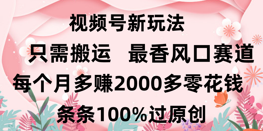 日入2000+，条条100%过原创，视频号最香风口赛道，小白轻松上手搞钱项目网-网创项目资源站-副业项目-创业项目-搞钱项目搞钱项目网