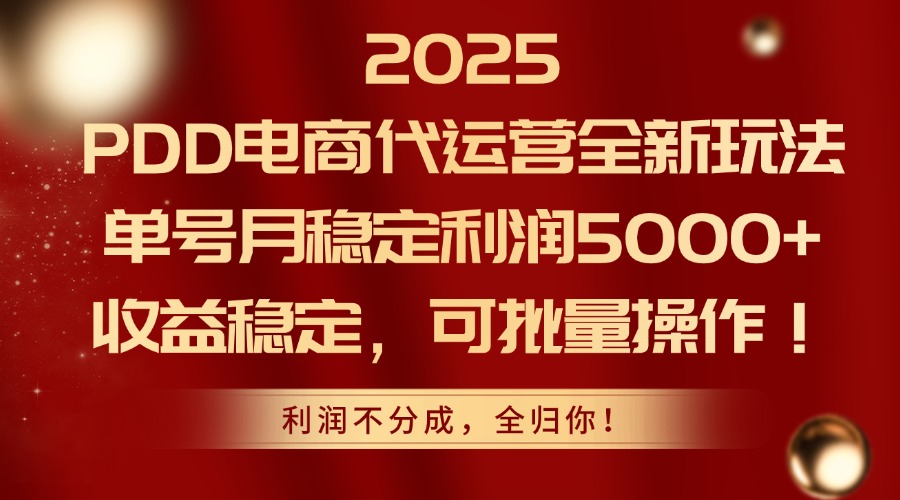 2025 PDD电商代运营全新玩法,单号月稳定利润5000+,收益稳定,可批量操作!搞钱项目网-网创项目资源站-副业项目-创业项目-搞钱项目搞钱项目网