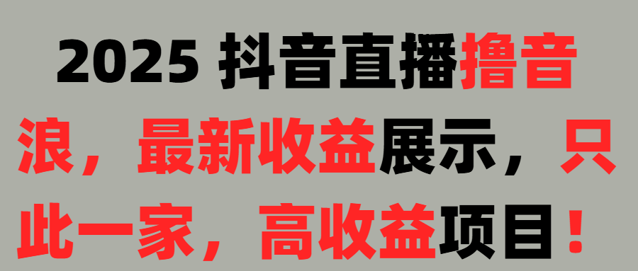 2025 抖音直播撸音浪，最新收益展示，只此一家，高收益项目！搞钱项目网-网创项目资源站-副业项目-创业项目-搞钱项目搞钱项目网