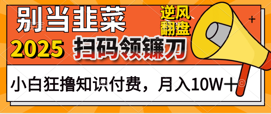 2025别当韭菜！扫码领镰刀！小白狂撸知识付费月入10W+搞钱项目网-网创项目资源站-副业项目-创业项目-搞钱项目搞钱项目网