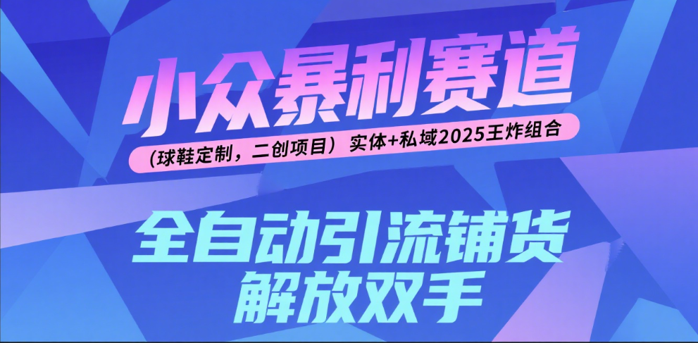 楠—小众暴利赛道（球鞋定制，二创项目）实体+私域2025王炸组合搞钱项目网-网创项目资源站-副业项目-创业项目-搞钱项目搞钱项目网