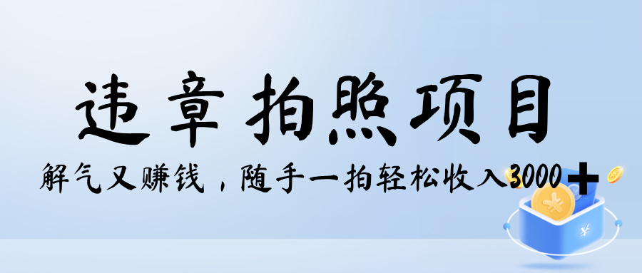 解气又赚钱的项目，最新违章拍照赚钱，随手一拍，轻松收入3000+搞钱项目网-网创项目资源站-副业项目-创业项目-搞钱项目搞钱项目网