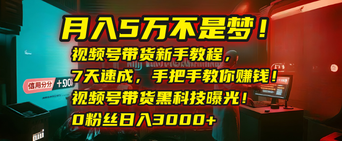月入5万不是梦!视频号带货新手教程,7天速成,手把手教你赚钱!视频号带货黑科技曝光!0粉丝日入3000+搞钱项目网-网创项目资源站-副业项目-创业项目-搞钱项目搞钱项目网
